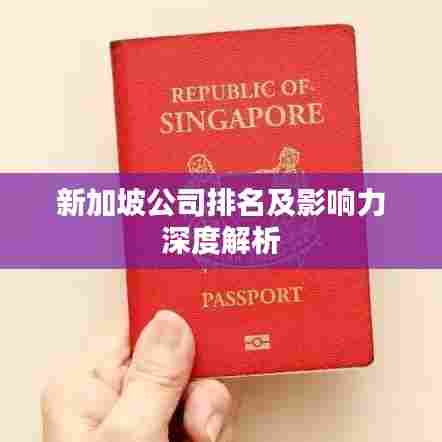 新加坡公司排名及影响力深度解析