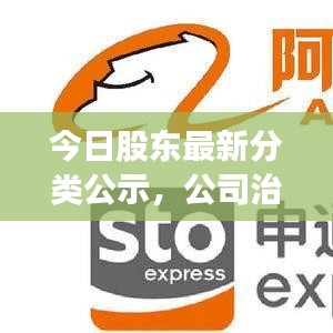 今日股东最新分类公示,公司治理结构重塑的关键步骤揭秘