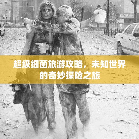 超级细菌旅游攻略,未知世界的奇妙探险之旅