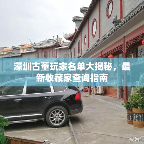 深圳古董玩家名单大揭秘,最新收藏家查询指南