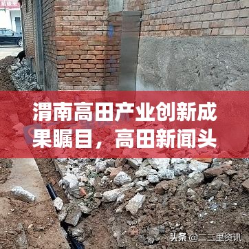 渭南高田产业创新成果瞩目,高田新闻头条揭秘发展盛况