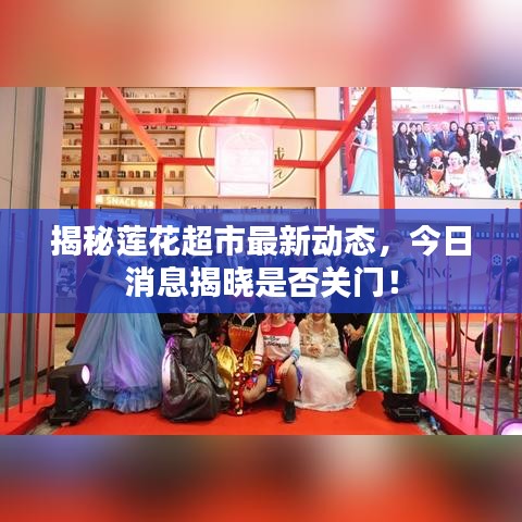 揭秘莲花超市最新动态,今日消息揭晓是否关门!