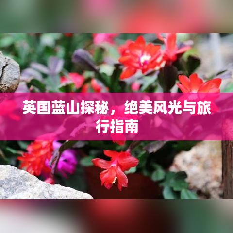 英国蓝山探秘,绝美风光与旅行指南