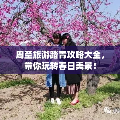 周至旅游踏青攻略大全,带你玩转春日美景!