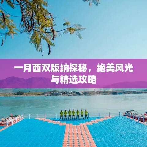 一月西双版纳探秘,绝美风光与精选攻略