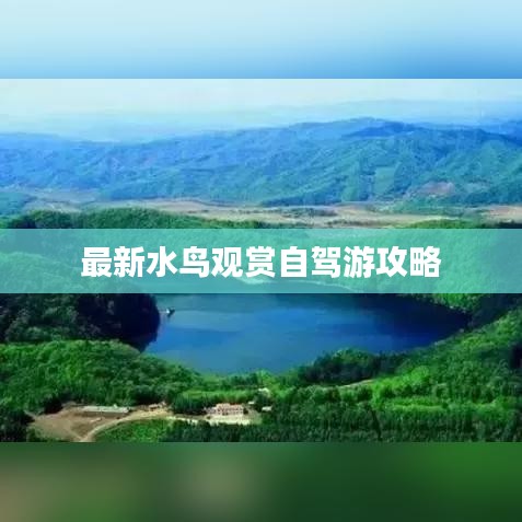 最新水鸟观赏自驾游攻略