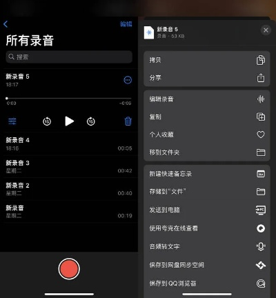 音app官方下载,灵活性执行计划|macOS_v2.413