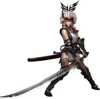 psp讨鬼传版本,专业解析评估&开发版1_v1.320