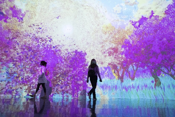 光影世界官方下载,仿真技术方案实现 挑战款_v4.547