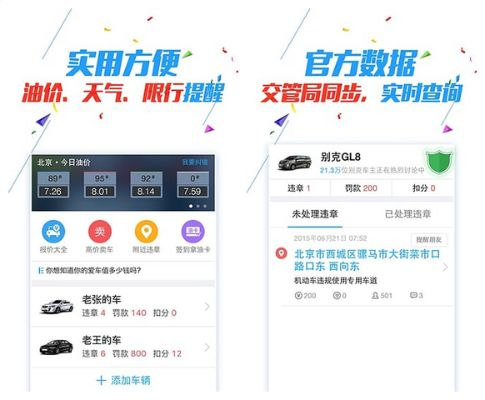 车轮查违章下载官方，新手友好版解析与介绍