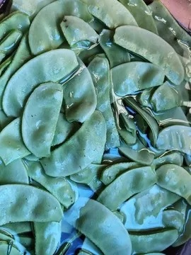 扁豆夹官方下载,安全策略评估方案 超值版_v5.927