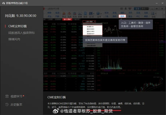 同花顺什么版本最好,深入数据应用计划&amp;复刻版_v10.195