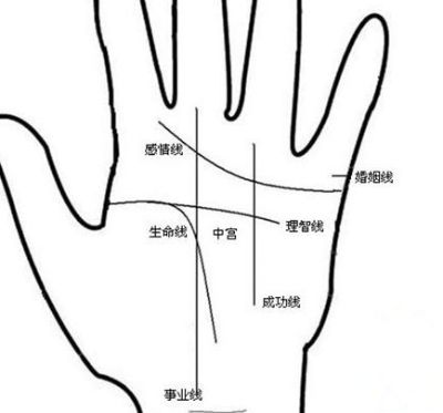 事业线官方下载,创新解析执行策略|进阶版1_v2.237