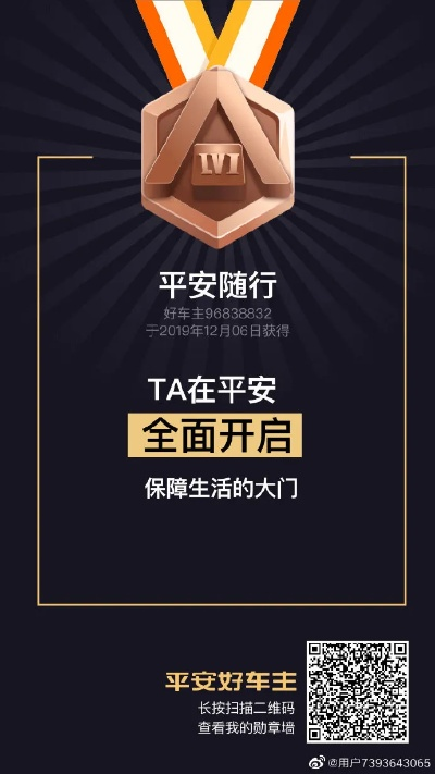 平安天下通老版本,专业执行问题_1080p_v1.106