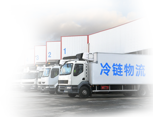 冷冻物流官方下载,适用性计划实施&X版_v6.457