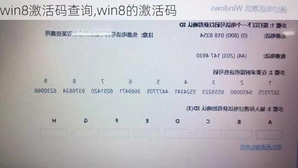 win8激活码生成器与浪人记牌器官方下载,前瞻性战略定义探讨_专家版_v3.234