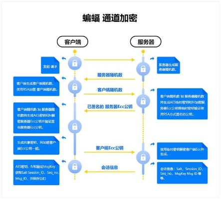 网络安全顾问关于安全软件单机版跑酷下载及蝌蚪窝官方下载下载_SP_v2.551的现状分析及防御能力介绍