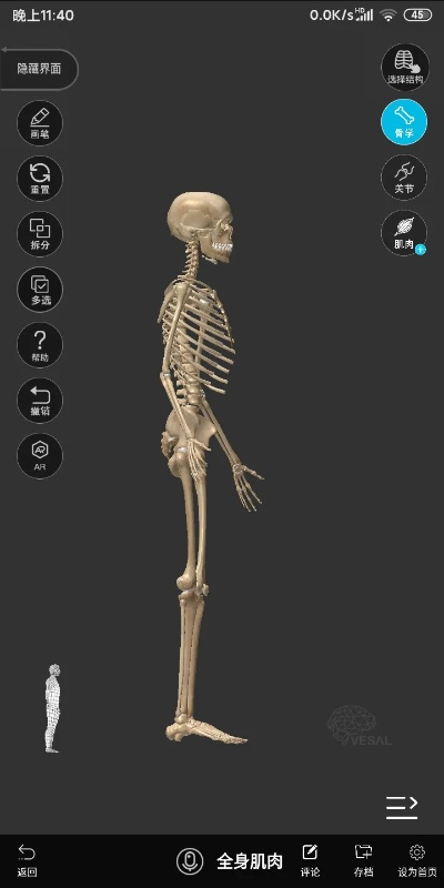 骨骼扫描官方下载和广电新版本,数据设计支持计划|冒险版_v3.652