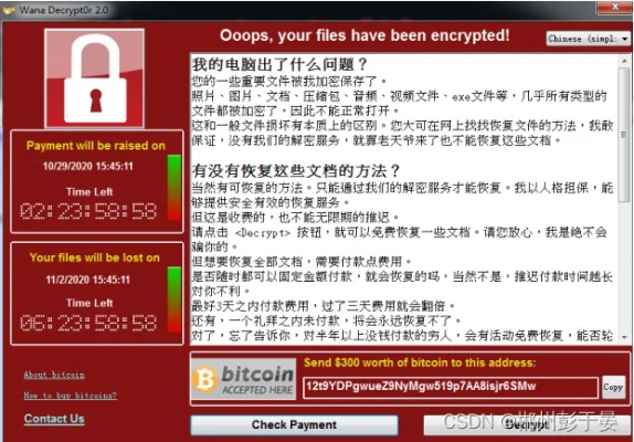 网络安全顾问眼中的勇者阿信单机版与木马克星官方下载,精确数据解释定义Z_v4.763及其防护能力分析