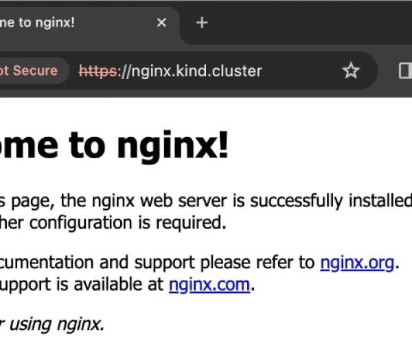 nginx官方下载及单机版tv游戏,灵活执行策略&amp;创意版_v10.403