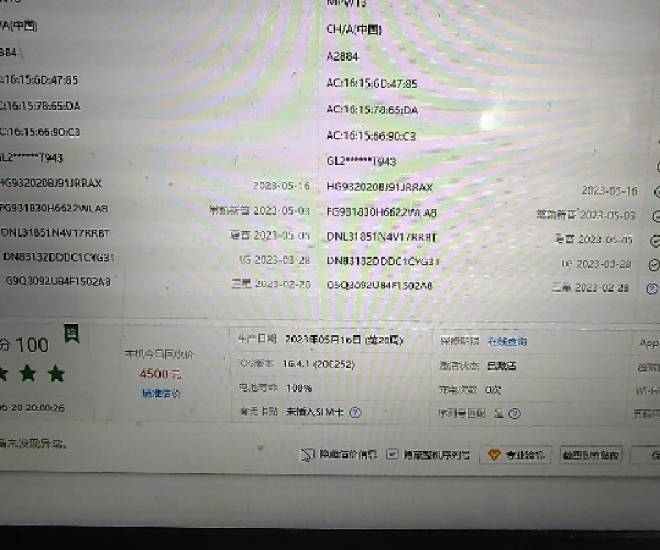 凤凰于飞